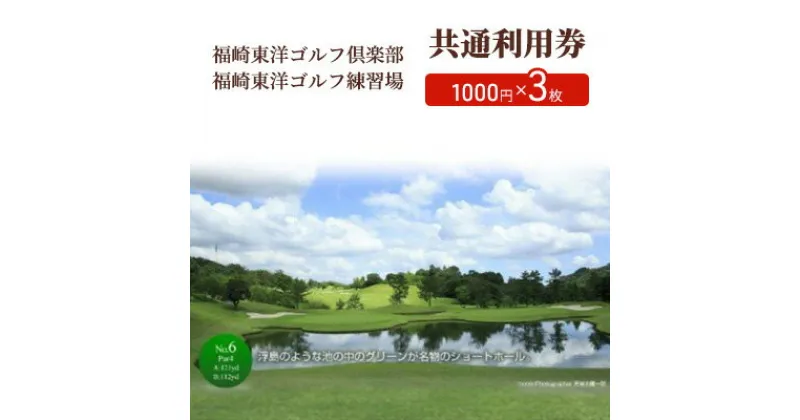 【ふるさと納税】福崎東洋ゴルフ倶楽部・福崎東洋ゴルフ練習場 共通利用券 1000円×3枚　 スポーツ 趣味 練習 大人 社会人 チケット ゴルフ練習場利用券 体験型