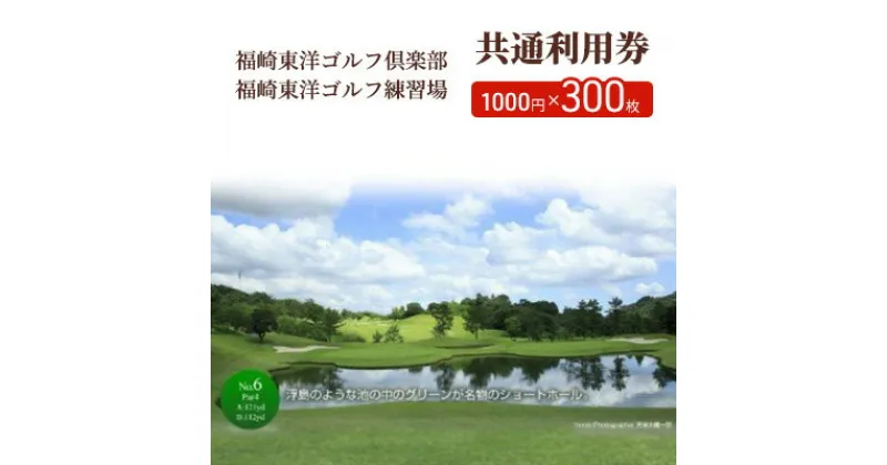 【ふるさと納税】福崎東洋ゴルフ倶楽部・福崎東洋ゴルフ練習場 共通利用券 1000円×300枚　 スポーツ 趣味 練習 大人 社会人 チケット ゴルフ練習場利用券 体験型