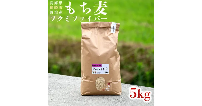 【ふるさと納税】西治産もち麦5kg（フクミファイバー精麦）