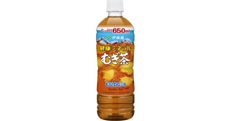 【ふるさと納税】【兵庫県神河町】健康ミネラルむぎ茶650ml　48本(2ケース)　伊藤園【1143944】