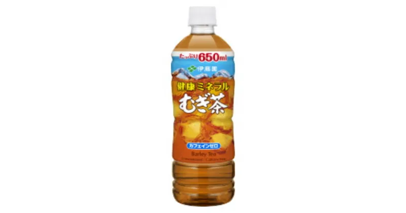 【ふるさと納税】【兵庫県神河町】健康ミネラルむぎ茶650ml　24本(1ケース)　伊藤園【1229076】