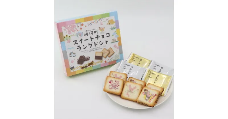 【ふるさと納税】神河町スイートチョコラングドシャ 1箱10個入り×4箱【1329931】