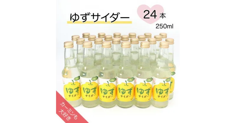 【ふるさと納税】【カーミンも大好き】ゆずサイダー 250ml×24本【1329933】