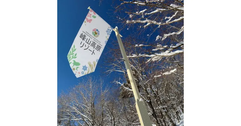 【ふるさと納税】〈峰山高原リゾートホワイトピーク〉スキー場1日リフト券　5枚【1363858】