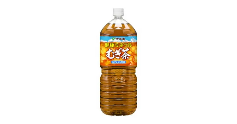 【ふるさと納税】【毎月定期便】健康ミネラルむぎ茶2L　6本全3回【4010483】