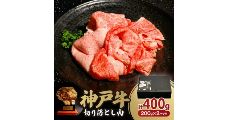 【ふるさと納税】神戸牛切り落とし肉 400g【配送不可地域：離島】【1547678】