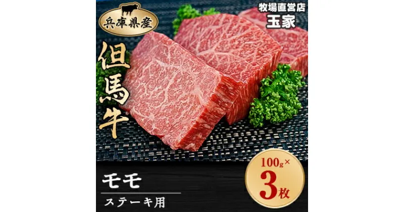 【ふるさと納税】但馬牛ステーキ　モモ肉　100g×3枚　兵庫県産　国産【配送不可地域：離島】【1044906】