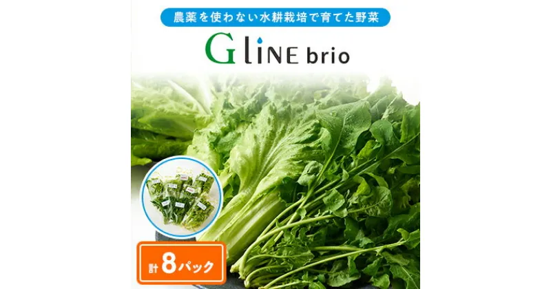 【ふるさと納税】G Line brio レタス8パックセット【配送不可地域：離島】【1121142】