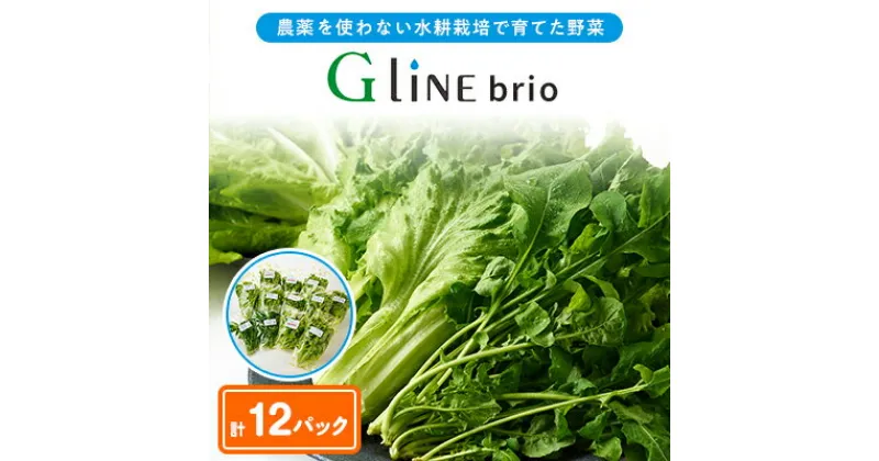 【ふるさと納税】G Line brio レタス12パックセット【配送不可地域：離島】【1121143】