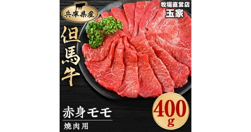 【ふるさと納税】但馬牛　赤身　焼肉用　400g　兵庫県産【配送不可地域：離島】【1131678】