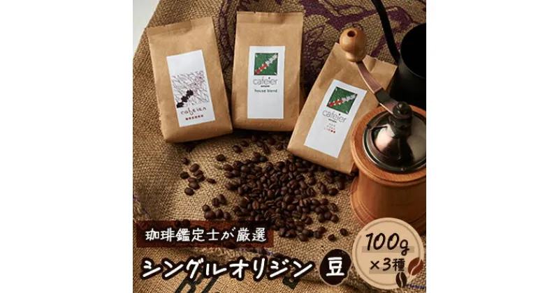 【ふるさと納税】シングルオリジン【豆】　3種セット　100g×3種【配送不可地域：離島】【1409260】