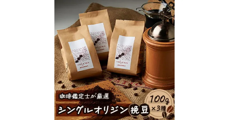 【ふるさと納税】シングルオリジン【挽豆】　3種セット　100g×3種【配送不可地域：離島】【1409248】