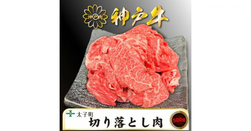 【ふるさと納税】訳あり神戸牛　TSS1　切り落とし肉　500g【配送不可地域：離島】【1509904】