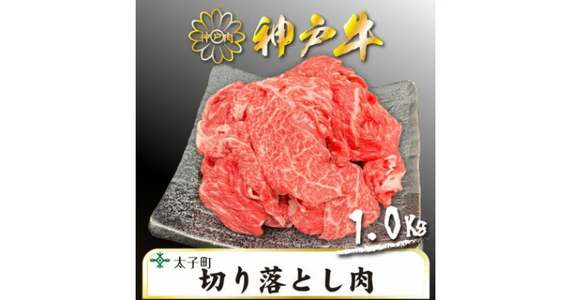 【ふるさと納税】訳あり神戸牛　TSS2S　切り落とし肉　500g×2【配送不可地域：離島】【1509906】