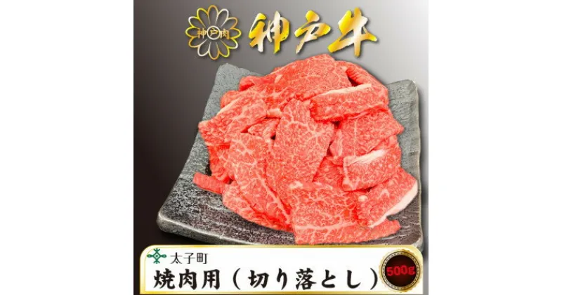 【ふるさと納税】訳あり神戸牛　TSY1　焼肉用(切り落とし)　500g【配送不可地域：離島】【1509911】