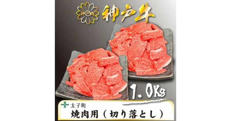 【ふるさと納税】訳あり神戸牛　TSY2S　焼肉用(切り落とし)　500g×2【配送不可地域：離島】【1509919】