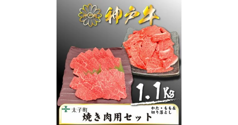 【ふるさと納税】神戸牛　TSY3　焼肉用・焼肉用(切り落とし)セット　合計1100g【配送不可地域：離島】【1509925】