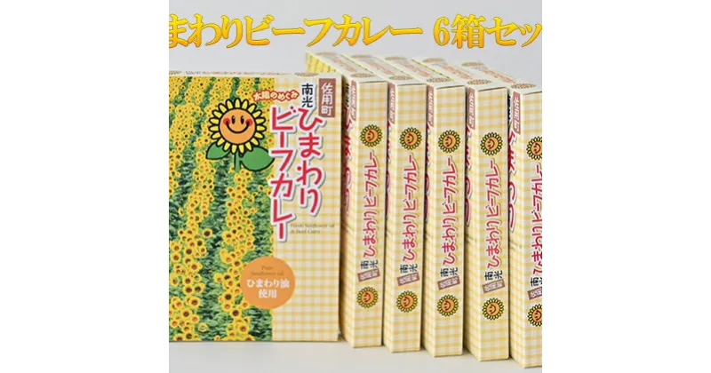 【ふるさと納税】ひまわりビーフカレー 6箱セット / カレー ご当地カレー　詰合せ　【加工食品・惣菜・レトルト・薬品不使用】