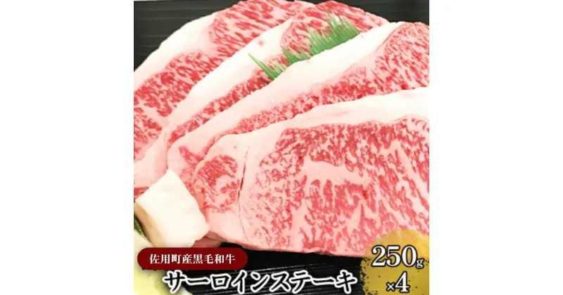 【ふるさと納税】＜佐用町産和牛＞サーロインステーキ250g×4　サーロイン ステーキ お肉 牛肉 贅沢 夕飯 食卓 ディナー 料理 食材 生物 食品 食べ物 多用途 バーベキュー BBQ