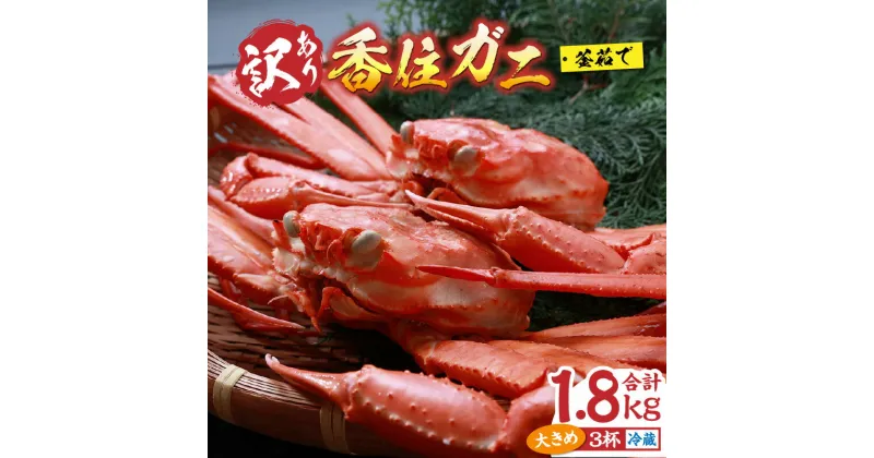 【ふるさと納税】訳あり カニ 香住ガニ 浜茹で 3杯 約1.8kg 大きめ 冷蔵 蟹 ボイル 不揃い 傷 香住蟹 姿 紅ズワイガニ カニ鍋 焼き蟹 しゃぶしゃぶ カニしゃぶ かに カニ爪 脚 足 紅ズワイ国産 規格外 （欠足 傷 汚れなど）20000円 07-14 9月中旬以降