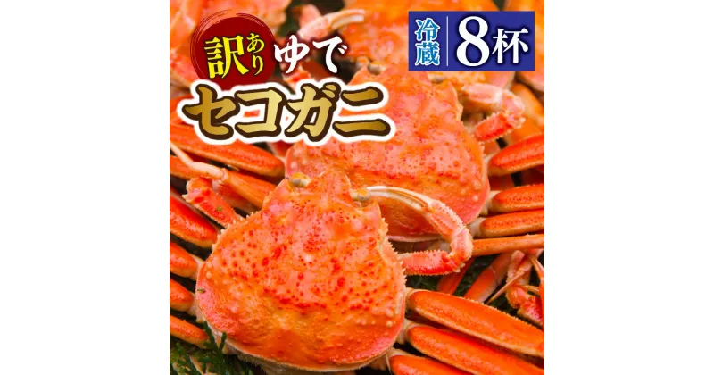 【ふるさと納税】先行予約 セコガニ 茹で ボイル 大きめ 約130g×8匹 冷蔵 カニ 蟹 かに せいこがに せこ蟹 セイコ蟹 ボイル 越前蟹 松葉がに ギフト コッペガニ 香箱ガニ せこがに 勢子ガニ 姿 香美町 香住 柴山 マルヨ 11月中旬以降 送料無料