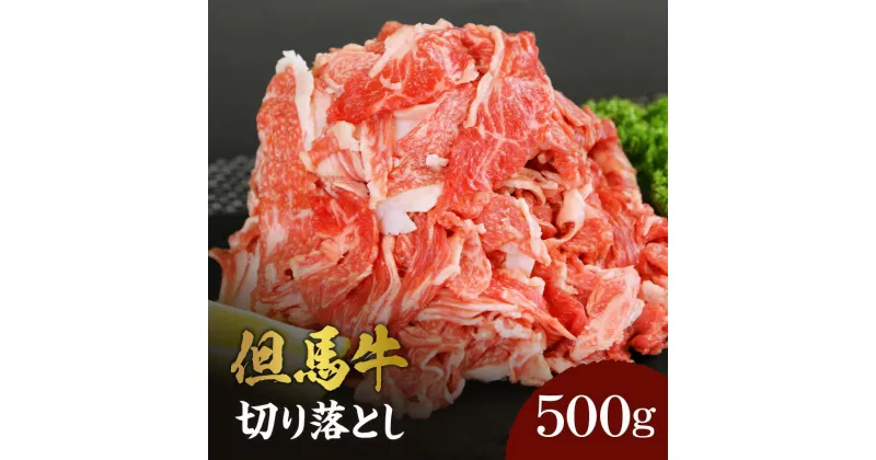 【ふるさと納税】A4ランク以上 但馬牛 切り落とし 500g 送料無料 黒毛和牛 牛肉 国産牛 すき焼き肉 国産 肉 お取り寄せ グルメ 和牛 肉じゃが すき焼き すき焼き用 カレー しゃぶしゃぶ 鍋 薄切り 御贈答 内祝い 御祝 快気祝 誕生日 兵庫県 自宅用 冷凍 02-02