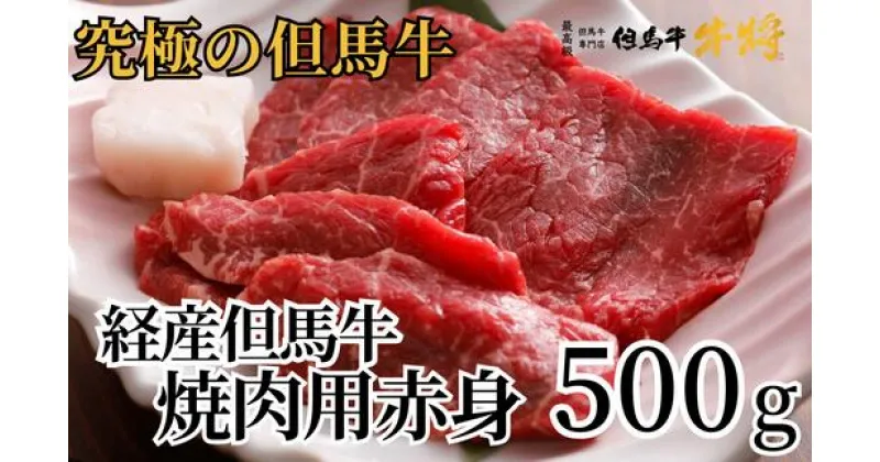 【ふるさと納税】A4ランク 但馬牛 焼肉用 500g 2～3人前 経産牛 送料無料 赤身 黒毛和牛 和牛 霜降り 国産 肉 お肉 焼き肉 焼肉 BBQ バーベキュー 家族 ファミリー 食べ比べ 御贈答 内祝い 御祝 出産祝 快気祝 お誕生日 贈り物 ギフト 冷凍 02-15