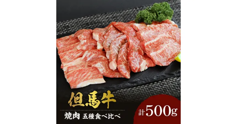 【ふるさと納税】A4ランク以上 但馬牛 焼肉用 食べ比べ 五種 500g 送料無料 お肉 牛肉 牛 黒毛和牛 希少部位 肉 国産 和牛 霜降り 焼き肉セット国産牛 焼肉セット イチボ ランプ ヒウチ シンタマ バラ BBQ 美味しい 兵庫県 冷凍 02-18