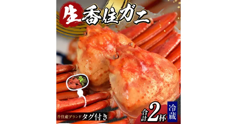 【ふるさと納税】発送前に連絡します！タグ付き香住ガニ（生） 2杯 約1.6kg（約800g×2）香住蟹 紅ズワイガニ カニ 蟹 活 カニ しゃぶしゃぶ 蟹しゃぶ カニ刺し かに 国産 姿 生食 刺身 かに鍋 焼きガニ 香住カニ 焼き蟹 生食用 着日 指定 日時 送料無料