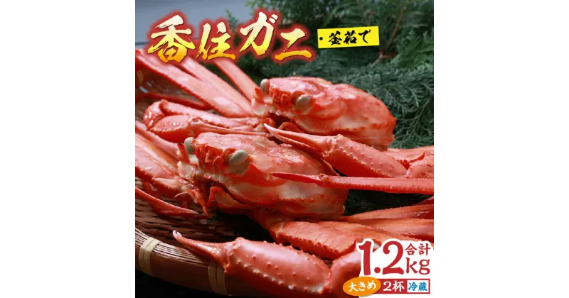 【ふるさと納税】 先行予約 カニ 香住ガニ 浜茹で 2杯 1.2kg以上 大きめ 冷蔵 ご自宅用 蟹 ボイル 釜茹で 香住蟹 姿 海鮮 紅ズワイガニ カニすき カニしゃぶ しゃぶしゃぶ 焼きガニ 鍋 焼き蟹 蟹しゃぶ かに カニ爪 紅ズワイ かにみそ 国産 16000円 9月中旬以降 07-01