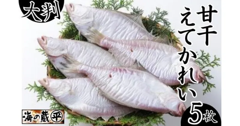 【ふるさと納税】えてかれい 大判 5枚 甘干えてかれい 約900g 一夜干し カレイ 詰合わせ ギフト 干物 詰め合わせ 干しカレイ 魚 イテカレイ お歳暮 ひもの 焼き魚 干物ギフト 酒 おつまみ 父の日 人気 魚介類 保存 無添加 無着色 国産 五つ星ひょうご 冷凍 送料無料