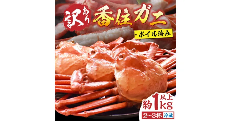 【ふるさと納税】訳あり 香住ガニ 浜茹で 2～3杯 約1kg以上 冷蔵 自宅用 カニ しゃぶしゃぶ 蟹 ボイル 不揃い 傷 香住蟹 姿 足 海鮮 紅ズワイガニ カニすき しゃぶしゃぶ カニ鍋 カニしゃぶ かに カニ爪 脚 紅ズワイガニ 規格外（欠足 傷 足折れ 汚れ）10000円 前後 19-09