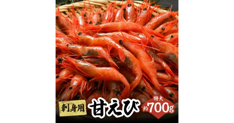 【ふるさと納税】船内瞬間冷凍 鮮度抜群の大きい甘エビ (30～40尾) 約700g 天然 甘えび 刺身用 送料無料 甘海老 特大 直送 瞬間冷凍 えび 海老 甘海老 刺し身 お刺身 あまえび 国産 たっぷり 刺身 丼 海鮮 魚介類 大きい 御贈答 ギフト 新鮮 冷凍 (卵 子なし 無選別) 33-04