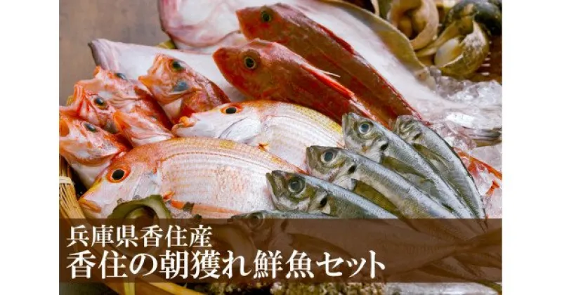 【ふるさと納税】旬の地魚セット 4～5種 1.5kg～2kg 送料無料 天然 魚介類 冷蔵 海鮮 海鮮セット 魚 鮮魚セット 詰め合わせ 海の幸 旬 おまかせ お刺身 煮魚 焼魚 フライ 家族 内祝い ツバス サザエ ハタハタ イカ カレイ 朝どれ ウロコ・内臓除去可 33-11