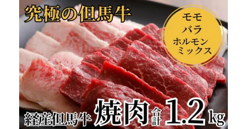 【ふるさと納税】A4ランク 但馬牛 焼肉用 700g(バラ350g モモ350g) / ホルモンミックス 500g セット 計1.2kg 送料無料 食べ比べ 黒毛和牛 盛り合わせ ホルモン センマイ 腸 レバー ミノ 焼肉 焼き肉 やきにく経産牛 赤身 和牛 肉 お肉 BBQ バーベキュー グルメ 冷凍 02-28