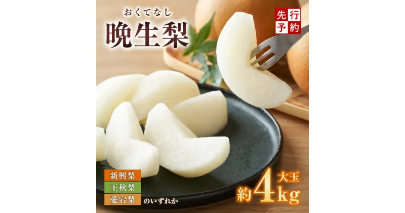 【ふるさと納税】【先行予約】梨 晩生梨 4kg 大きめサイズ（1玉450g～700gを4～9玉) 新興梨 王秋梨 愛宕梨 季節に応じて配送 香美町 香住産 果物 フルーツ ナシ なし 果物 くだもの あたご梨 晩生 和梨 糖度【納期：10月中旬から発送】送料無料