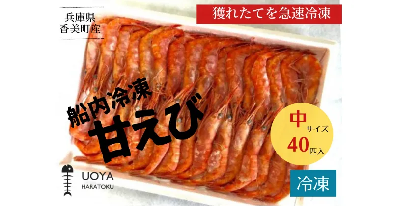 【ふるさと納税】甘えび（あかえび）中サイズ40匹入り 700g前後 冷凍 兵庫県香住産】 発送目安：令和5年1月中旬以降　日本海で水揚げされた鮮度抜群の甘えびを船内で急速冷凍 細胞を壊さず,食品の美味しさをキープ 産地直送 香美町 山陰 国産 海鮮 魚や HARATOKU 56-02