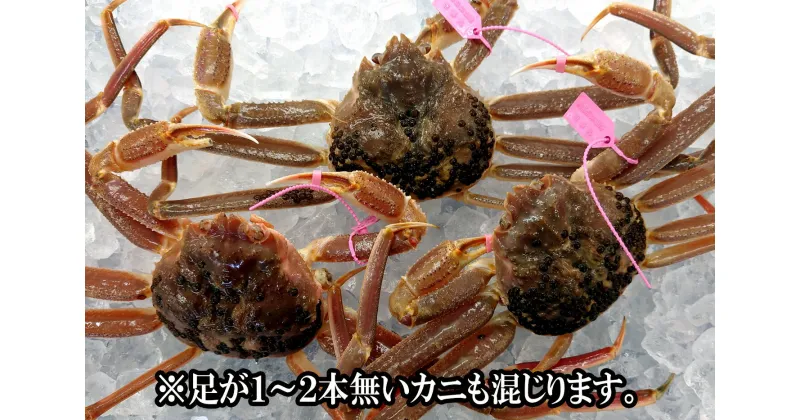 【ふるさと納税】先行予約 兵庫県香住産 訳あり 活 松葉ガニ 3匹(約1.2～1.5kg) 冷蔵 カニの本場 兵庫県 香美町 香住漁港 活松葉ガニ カニすき カニ刺し 焼がに 茹でがに 産地証明 タグ付き 松葉蟹 刺身 蟹 鍋 かに お歳暮 国産 足折れ 宿院商店 令和7年2月以降発送 33-26