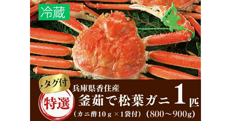 【ふるさと納税】先行予約 当日茹でたて発送 特選釜茹で 松葉ガニ 1匹 (約800g～900g) 冷蔵 産地証明のタグ付き カニ酢付き 松葉ガニ しゃぶしゃぶ かに カニ ボイル 茹で 蟹 蟹しゃぶ 鍋 松葉蟹 姿 高級 日本海 ズワイガニ 香住産 宿院商店 11月中旬以降順次発送 33-28