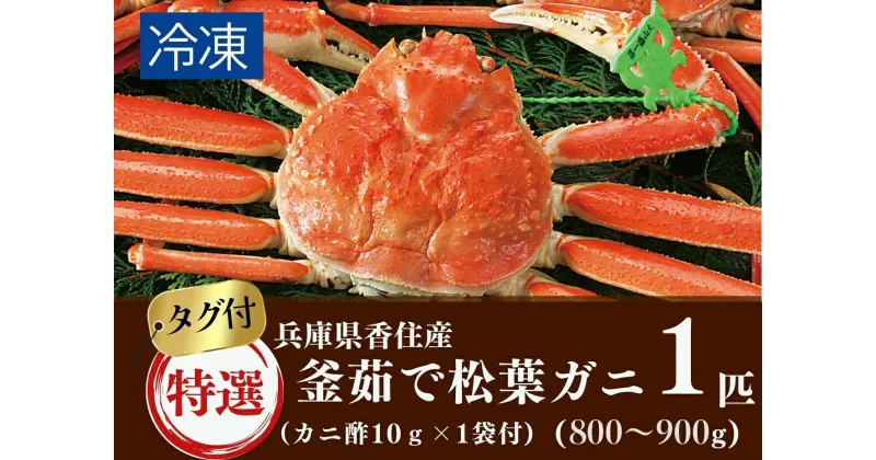 【ふるさと納税】先行予約 当日茹でたて発送 特選 釜茹で 松葉ガニ 1匹(約800g～900g) 冷凍 産地証明のタグ付き松葉ガニ カニ酢付き カニ ボイル 姿 かに 蟹 松葉蟹 蟹しゃぶ 鍋 お歳暮 ご贈答 ギフト 日本海 兵庫県 香住産 香美町 宿院商店 11月中旬以降順次発送 33-29