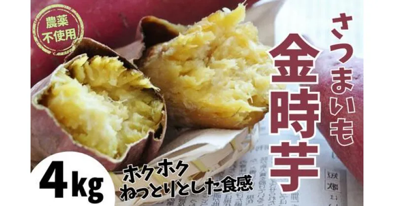 【ふるさと納税】【先行予約】ホクホクで甘い 金時芋 4kg さつまいも 農薬不使用 サツマイモ 生芋 おいしい 甘い 金時いも 薩摩 芋 焼き芋 きんときいも 天ぷら 煮物 焼き芋 干し芋 干しいも 生 イモ 秋 野菜 正月 おせち 兵庫県 香美町 むらおか夢アグリ 41-12