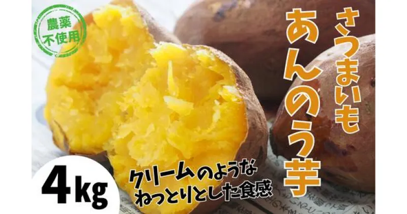 【ふるさと納税】【先行予約】あま～い蜜がたっぷり 安納芋 4kg さつまいも 農薬不使用 サツマイモ 生芋 ねっとり おいしい 甘い あんのう芋 薩摩 芋 焼き芋 ギフト やきいも 焼芋 干し芋 干しいも 生 秋 野菜 兵庫県 香美町 むらおか夢アグリ 11月中旬以降順次発送 41-13