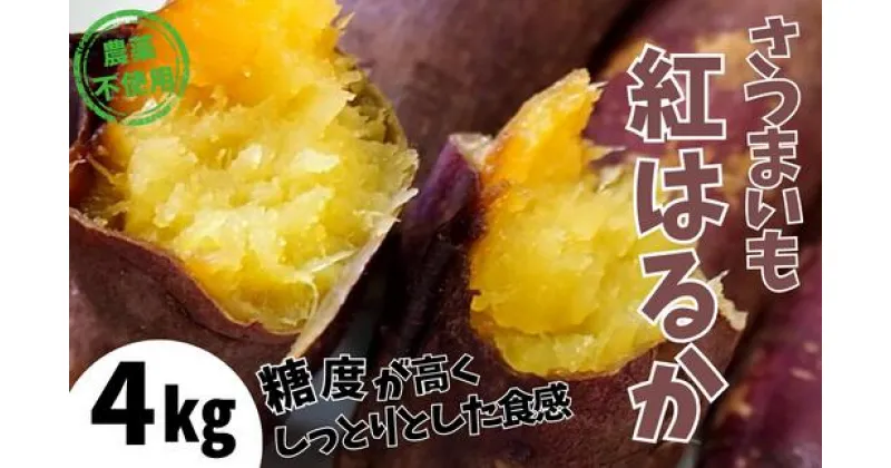 【ふるさと納税】【先行予約】濃厚な甘み 紅はるか 4kg さつまいも 農薬不使用 サツマイモ しっとり おいしい 甘い べにはるか 薩摩 芋 焼き芋 ギフト やきいも 焼芋 干し芋 干しいも スイートポテト 生 秋 野菜 兵庫県 香美町 むらおか夢アグリ 11月中旬以降順次発送 41-14