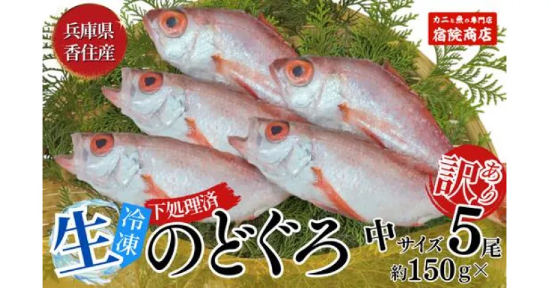 【ふるさと納税】調理済 香住産 のどぐろ 中サイズ 5匹 (生 冷凍) 1匹約150g前後 計約700～800g アカムツ 高級魚 鮮魚 魚 魚介 魚介類 日本海 お刺身 煮物 炊き込みご飯 唐揚げ 塩焼き 産地直送 兵庫県 香美町 山陰 宿院商店 ご入金確認後順次発送 33-30