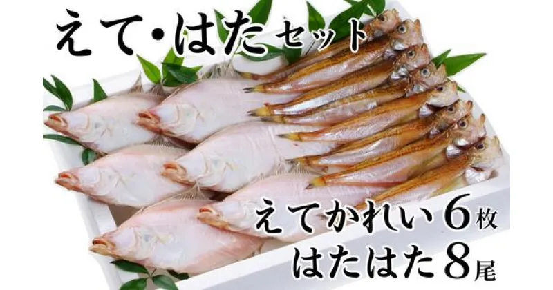 【ふるさと納税】【 えてかれい・はたはたセット エテカレイ6枚 ハタハタ8尾 冷凍】発送目安：入金確認後、順次発送 一夜干し 伝統の「まぶり塩」製法で丁寧に仕上げたハタハタと手作業で作った人気のエテカレイ 自慢の逸品 大人気 香美町 香住 柴山 山陰 蔵平水産 08-01