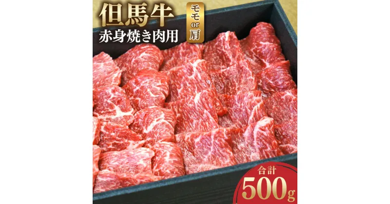 【ふるさと納税】但馬牛 赤身焼き肉用（モモ又は肩） 500g お肉 肉 牛肉 赤身 赤身肉 モモ モモ肉 牛モモ 肩 肩肉 牛肩 焼肉 焼き肉 BBQ バーベキュー 冷凍 お取り寄せ グルメ お祝い 内祝い 【配送不可地域：離島】【1046854】兵庫県 新温泉町 送料無料