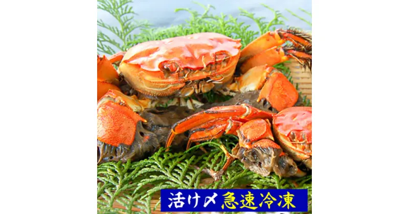 【ふるさと納税】天然モクズガニ（生冷凍）約1kg または 約2kg 選べる容量 活〆高鮮度3D急速冷凍品 モクズガニ 藻くず蟹 藻屑蟹 蟹 かに カニ オスメス混合 川ガニ カワガニ 国産 活〆 冷凍 兵庫県新温泉町 【配送不可地域：離島】【1433519】 送料無料