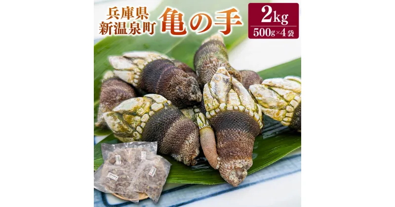 【ふるさと納税】亀の手 500g×4袋 合計2kg カメノテ かめのて ペルセベス 珍味 希少 味噌汁 みそ汁 吸い物 お吸い物 酒蒸し 塩茹で 説明書き付き 海鮮 冷凍 お取り寄せ【配送不可地域：離島】【1089878】兵庫県 新温泉町 送料無料