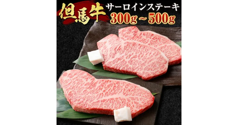 【ふるさと納税】但馬牛 サーロインステーキ 選べる 300g×1枚 or 250g×2枚 肉 お肉 牛肉 黒毛和種 和牛 サーロイン ステーキ 冷凍 国産 お取り寄せ ブランド牛 【配送不可地域：離島】【1098410】【1098414】送料無料 兵庫県 新温泉町