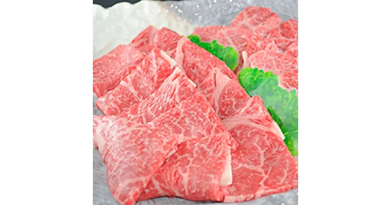 【ふるさと納税】【但馬牛専門店】がお届けする!但馬牛　食べ比べセット(焼肉用)1kg【配送不可地域：離島】【1105968】